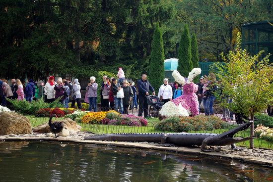 Ball of Chrysanthemums, Feldman Ecopark, Kharkiv, Ukraine, photo 18