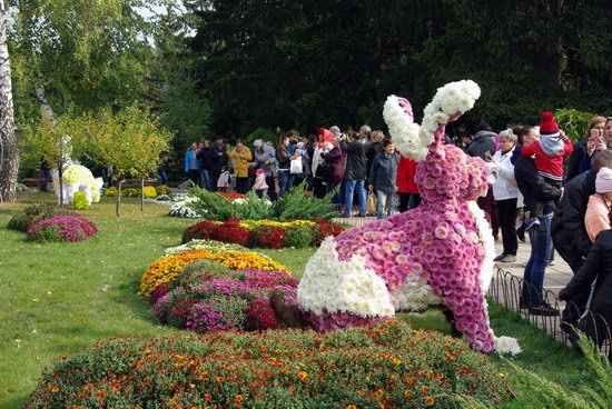 Ball of Chrysanthemums, Feldman Ecopark, Kharkiv, Ukraine, photo 19