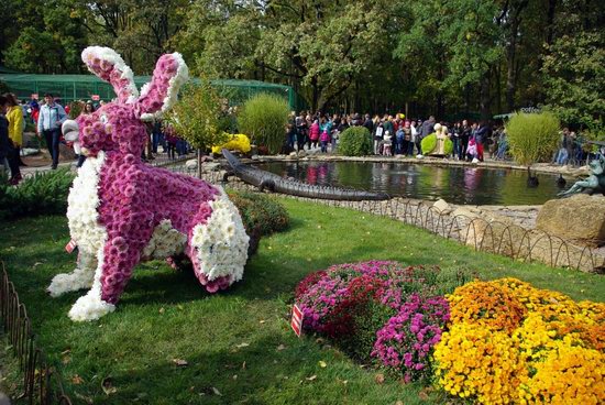 Ball of Chrysanthemums, Feldman Ecopark, Kharkiv, Ukraine, photo 20