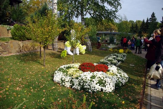 Ball of Chrysanthemums, Feldman Ecopark, Kharkiv, Ukraine, photo 21