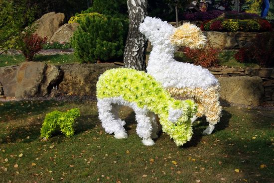 Ball of Chrysanthemums, Feldman Ecopark, Kharkiv, Ukraine, photo 22