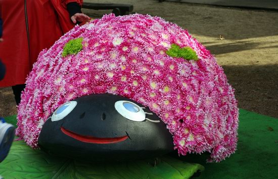 Ball of Chrysanthemums, Feldman Ecopark, Kharkiv, Ukraine, photo 23