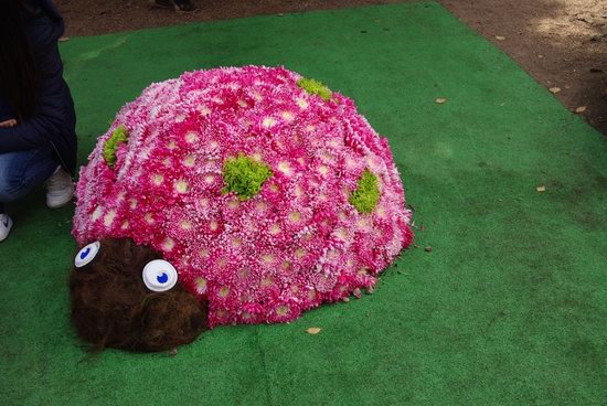 Ball of Chrysanthemums, Feldman Ecopark, Kharkiv, Ukraine, photo 24