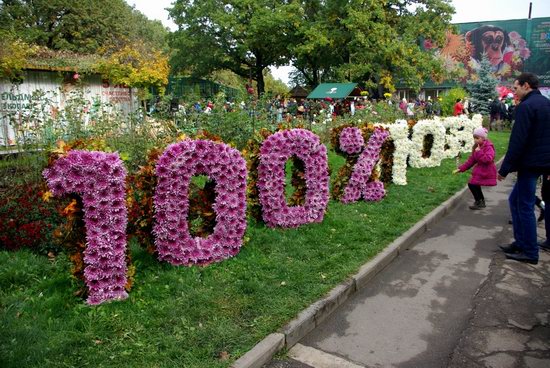 Ball of Chrysanthemums, Feldman Ecopark, Kharkiv, Ukraine, photo 27