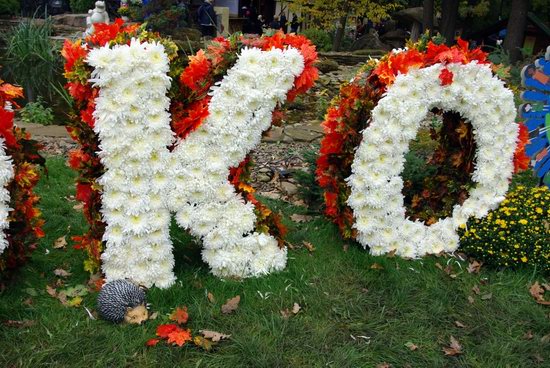 Ball of Chrysanthemums, Feldman Ecopark, Kharkiv, Ukraine, photo 3