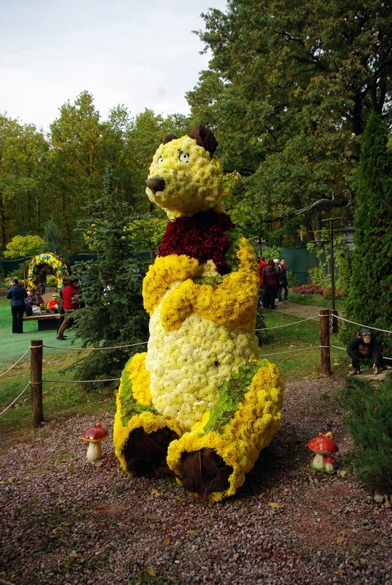 Ball of Chrysanthemums, Feldman Ecopark, Kharkiv, Ukraine, photo 7