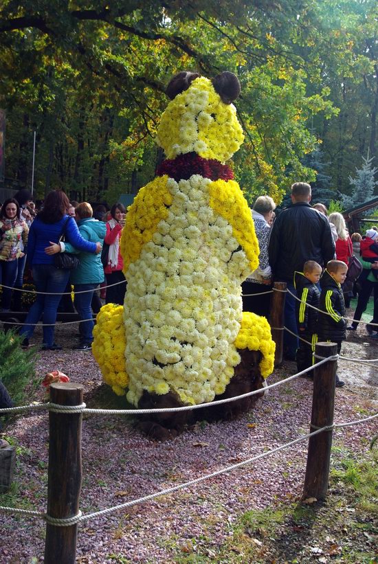 Ball of Chrysanthemums, Feldman Ecopark, Kharkiv, Ukraine, photo 8