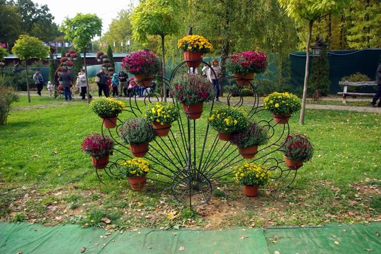 Ball of Chrysanthemums in Feldman Ecopark near Kharkiv · Ukraine travel ...