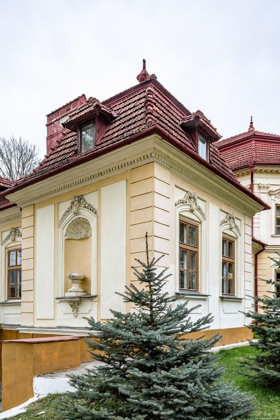 Brunicki Palace in Velykyi Lyubin, Lviv region, Ukraine, photo 10