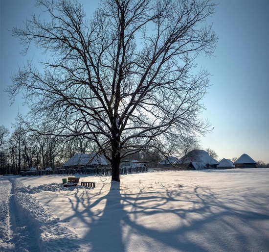 Snowy winter in the Pyrohiv Museum, Kyiv, Ukraine, photo 7