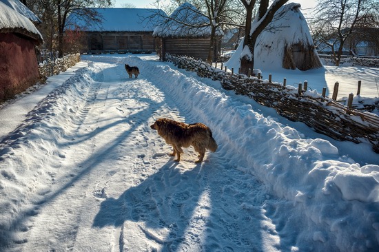 Snowy winter in the Pyrohiv Museum, Kyiv, Ukraine, photo 9