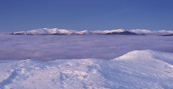 Winter on Mount Synyak, Ivano-Frankivsk Oblast, Ukraine, photo 7