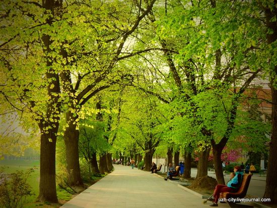 Blooming Spring in Uzhhorod, Ukraine, photo 10