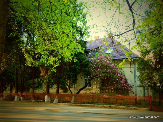 Blooming Spring in Uzhhorod, Ukraine, photo 19