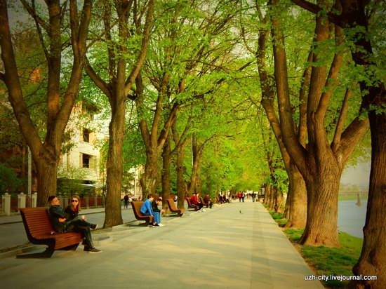 Blooming Spring in Uzhhorod, Ukraine, photo 2