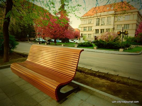 Blooming Spring in Uzhhorod, Ukraine, photo 3