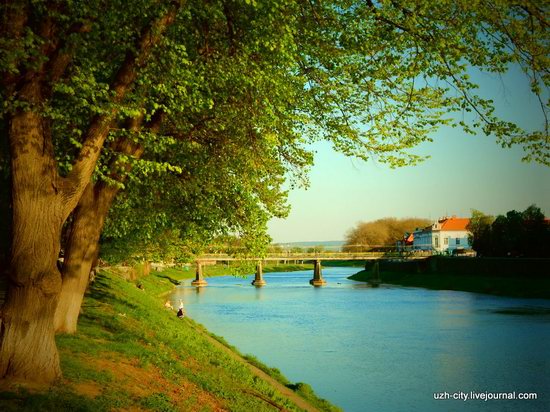 Blooming Spring in Uzhhorod, Ukraine, photo 8