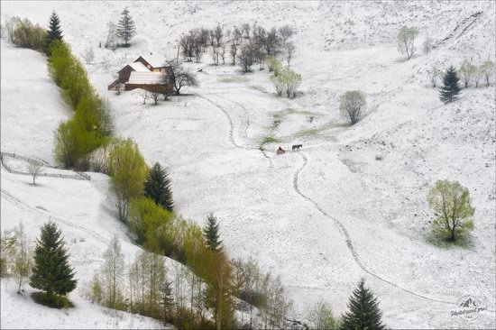 Unpredictable spring weather of the Carpathians, Ukraine, photo 1