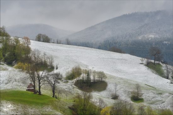 Unpredictable spring weather of the Carpathians, Ukraine, photo 2