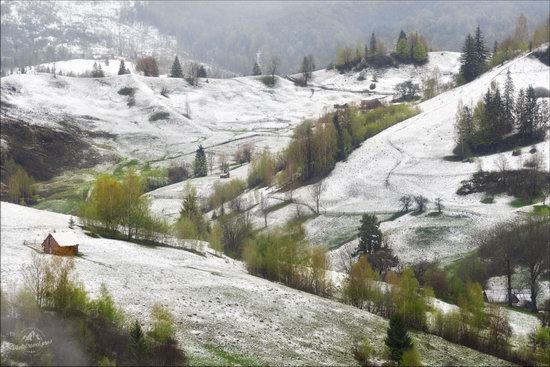 Unpredictable spring weather of the Carpathians, Ukraine, photo 3