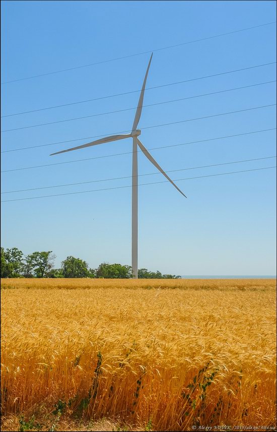 Wind Farm in Prymorsk in Southern Ukraine, photo 13