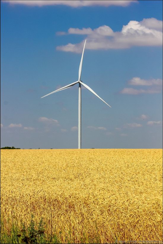 Wind Farm in Prymorsk in Southern Ukraine, photo 15