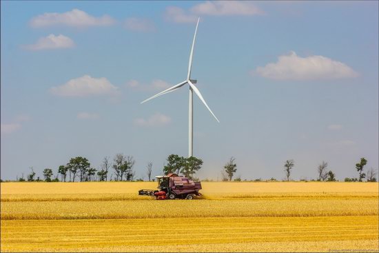 Wind Farm in Prymorsk in Southern Ukraine, photo 7