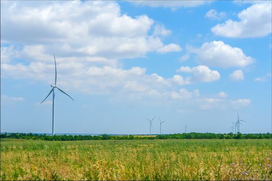 Wind Farm in Prymorsk in Southern Ukraine, photo 9