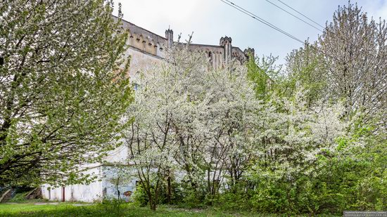 The Gizycki Palace in Novoselytsya, Khmelnytskyi Oblast, Ukraine, photo 7