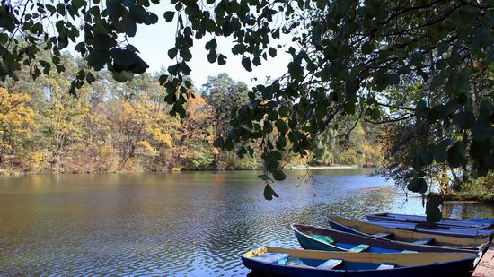 Pushcha-Vodytsya - Kyiv - the Most Scenic Tram Line in Ukraine, photo 11