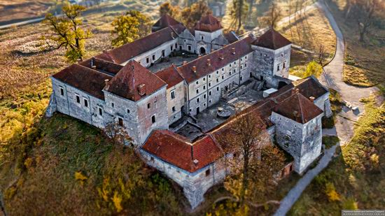 Svirzh Castle, Lviv Oblast, Ukraine, photo 3