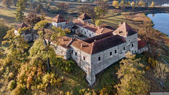 Svirzh Castle, Lviv Oblast, Ukraine, photo 4