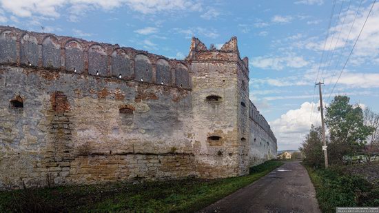 The Stare Selo Castle, Lviv Oblast, Ukraine, photo 2