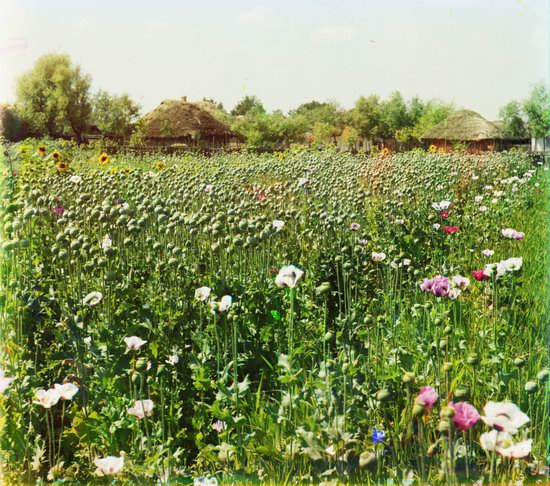 Color photographs of Ukraine in 1904-1905, photo 6