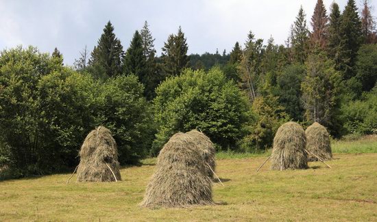 Summer in Slavske, Lviv Oblast, Ukraine, photo 12