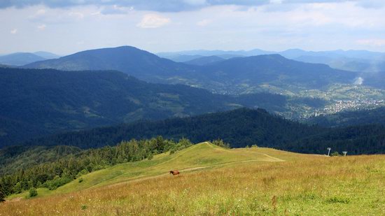 Summer in Slavske, Lviv Oblast, Ukraine, photo 5