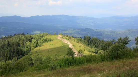 Summer in Slavske, Lviv Oblast, Ukraine, photo 7