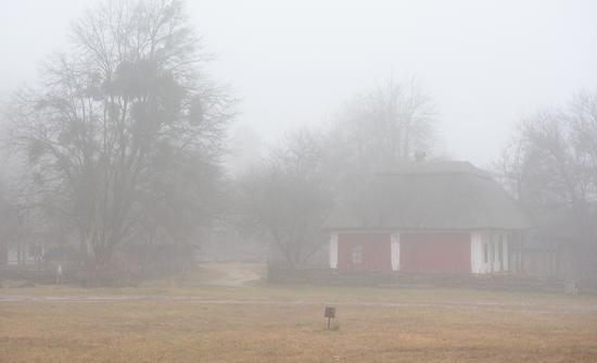 Foggy Day at the Museum of Folk Architecture of Ukraine, photo 12