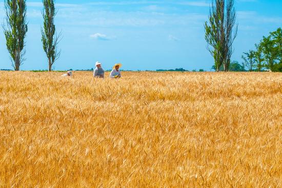 The beauty of Ukraine