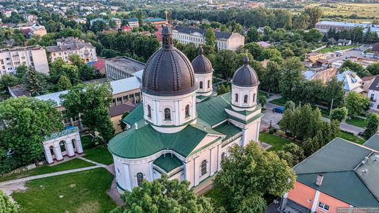 Cathedral of the Holy Apostles Peter and Paul in Sokal, Lviv Oblast, Ukraine, photo 9