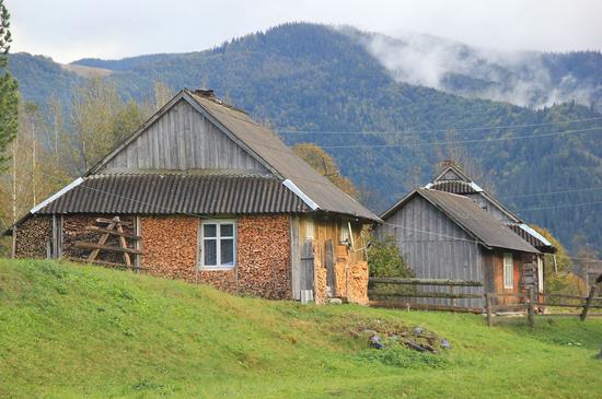 Early autumn in the pastures of the Ukrainian Carpathians, photo 11