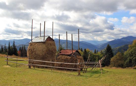 Early autumn in the pastures of the Ukrainian Carpathians, photo 14