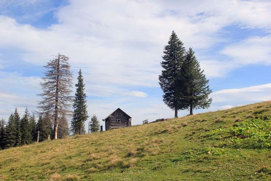 Early autumn in the pastures of the Ukrainian Carpathians, photo 16