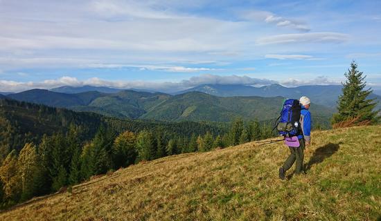 Early autumn in the pastures of the Ukrainian Carpathians, photo 17