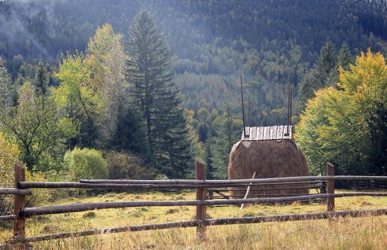 Early autumn in the pastures of the Ukrainian Carpathians, photo 2