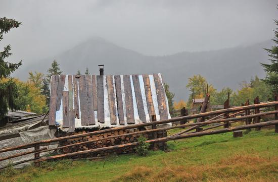 Early autumn in the pastures of the Ukrainian Carpathians, photo 3