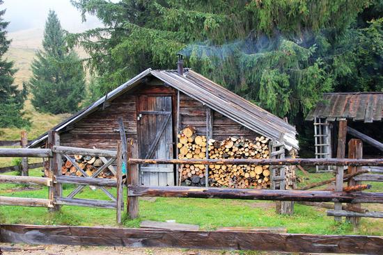 Early autumn in the pastures of the Ukrainian Carpathians, photo 5