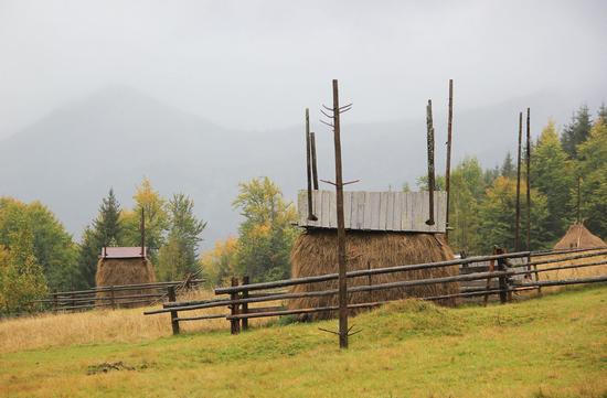 Early autumn in the pastures of the Ukrainian Carpathians, photo 8
