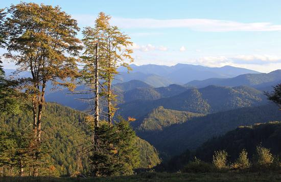 Early autumn in the pastures of the Ukrainian Carpathians, photo 9