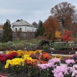 Colorful Autumn in the Kharkiv Botanical Garden